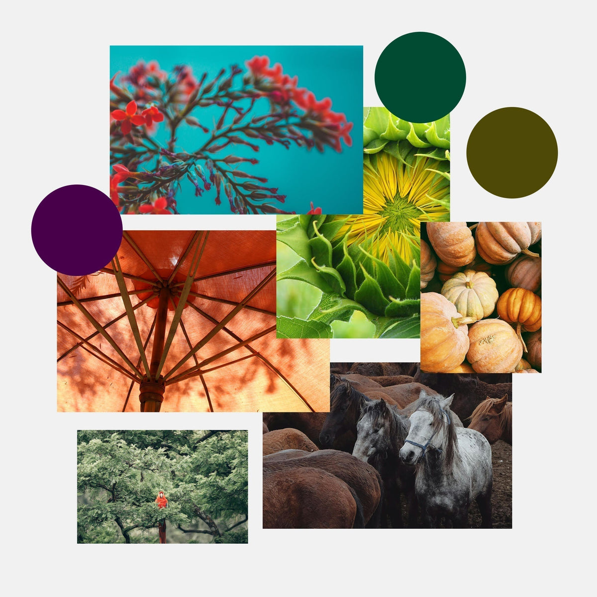 The Different Seasonal Sub-Types of the Autumn Palette – Kettlewell-US