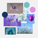 The Different Seasonal Sub-Types of the Summer Palette