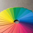 Your Color Masterclass
