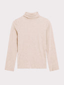 Wool Blend Turtle Neck