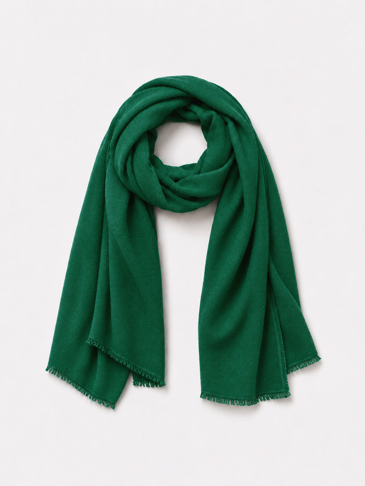 Cashmere Gauze Stole | Kettlewell Colours – Kettlewell-US