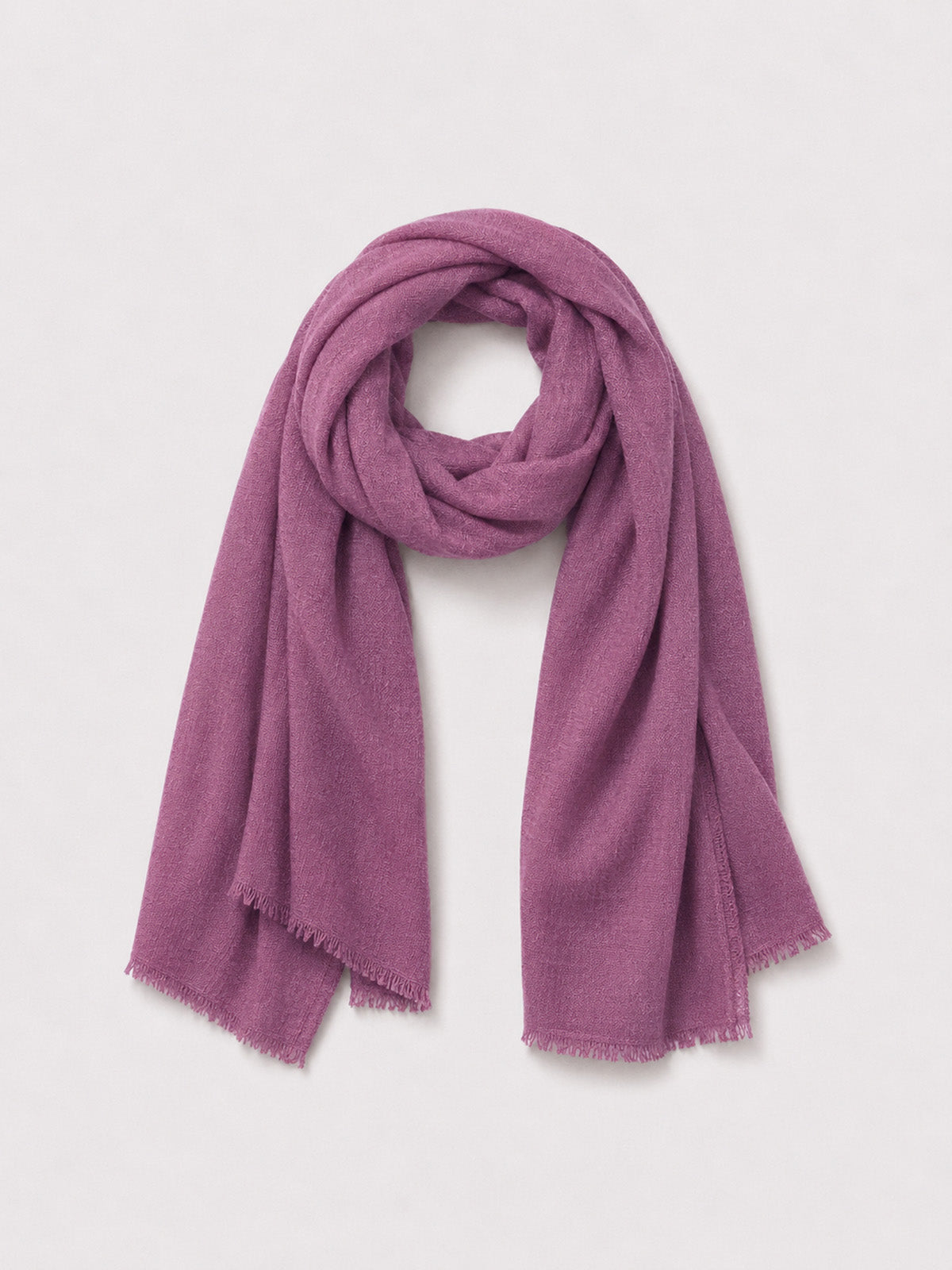 Cashmere Gauze Stole | Kettlewell Colours – Kettlewell-US